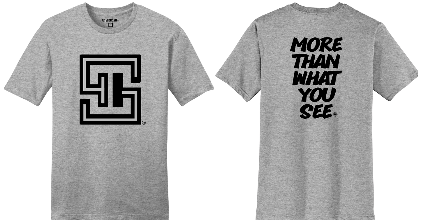 MORE THAN WHAT YOU SEE "GREY" T-SHIRT